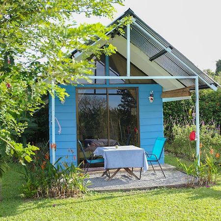 Tiny House Dreamcatcher Sarchí المظهر الخارجي الصورة